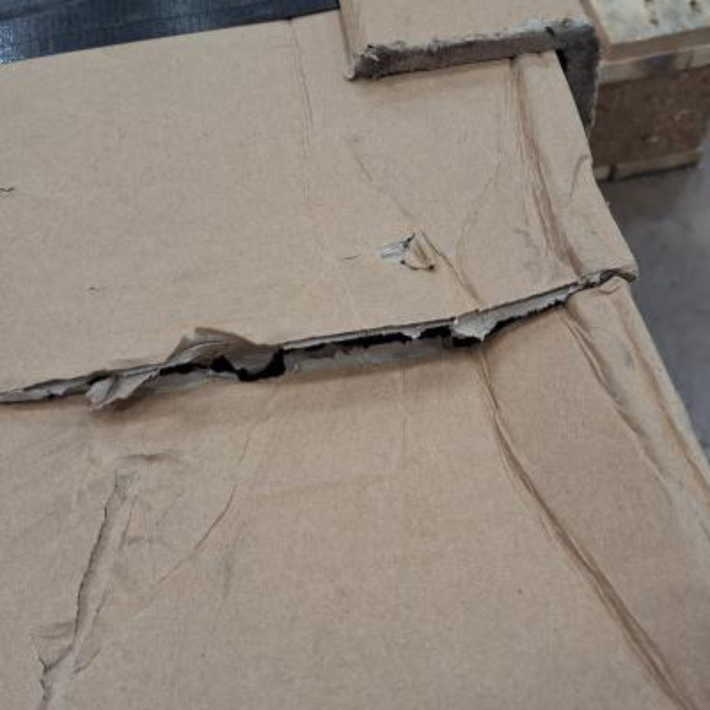 Euroscreen SEZ2217-D - CLearance Clearance Product - Box Damage - Euroscreen Sesame 210cm x 131cm (16:10)