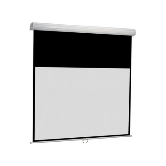 Euroscreen DD220 220cm x 220cm Viewing Area, 1:1 Format, Matte White